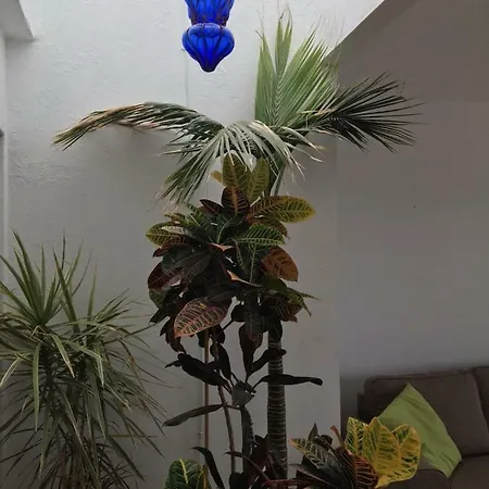 Casa Felictias